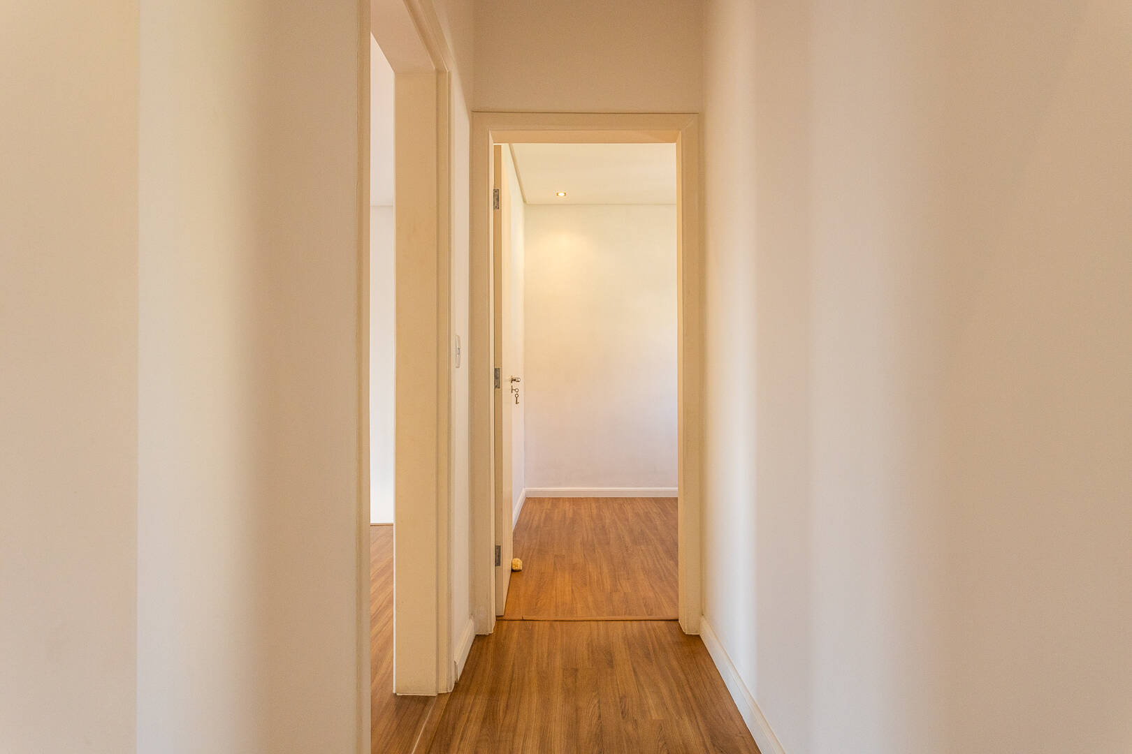 Apartamento, 3 quartos, 245 m² - Foto 54