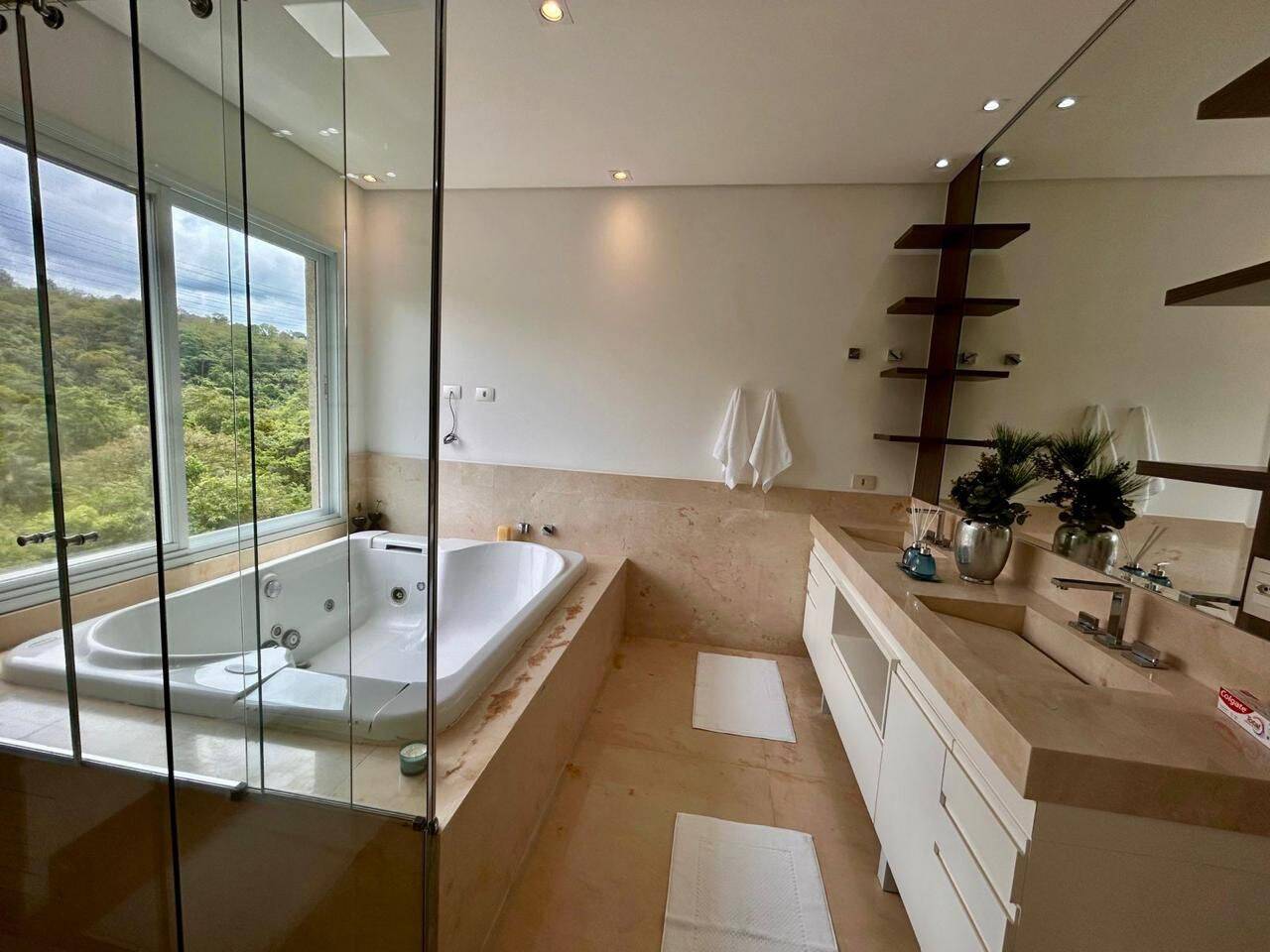 Casa, 4 quartos, 460 m² - Foto 6