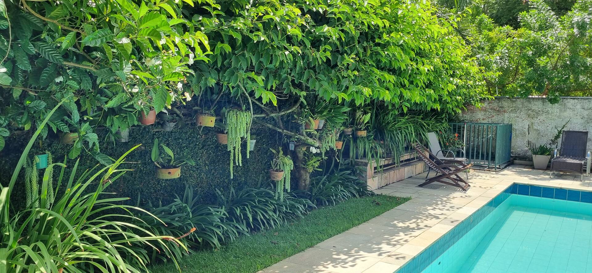 Casa, 4 quartos, 390 m² - Foto 9