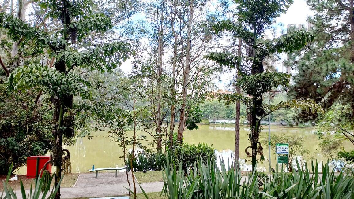 Casa, 4 quartos, 669 m² - Foto 35