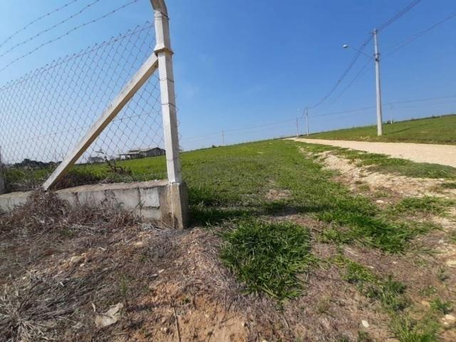 #60490760 - Área para Venda em Sarapuí - SP - 3
