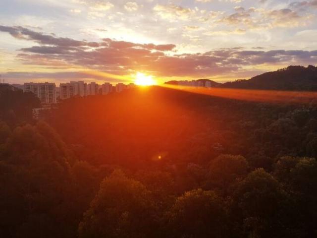 Apartamento para Venda em Santana de Parnaíba - 2