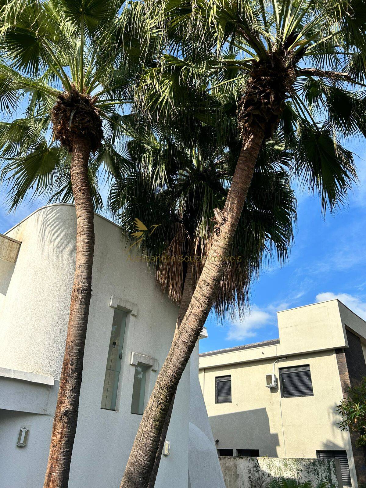 Casa à venda e aluguel com 5 quartos, 342m² - Foto 17